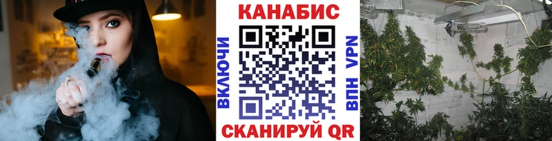Купить закладку COCAIN  Меф  Галлюциногенные грибы  ГАШИШ  A PVP  Амфетамин  Можга