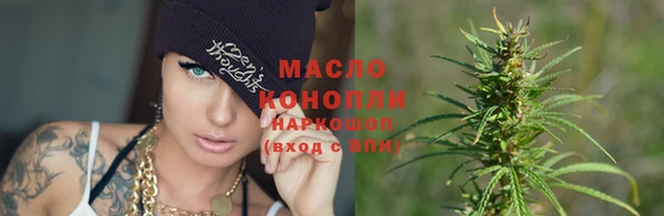 гидропоника Горнозаводск