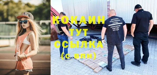 гидропоника Горнозаводск