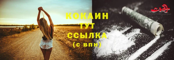 спайс Горняк