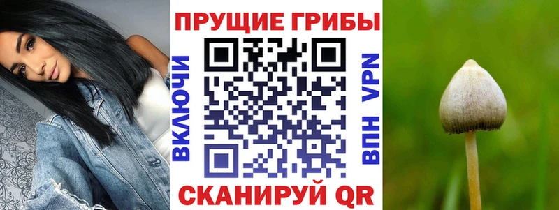 Купить закладки  Можга  Галлюциногенные грибы мицелий 